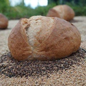 Farine de Sarrazin Patisserie