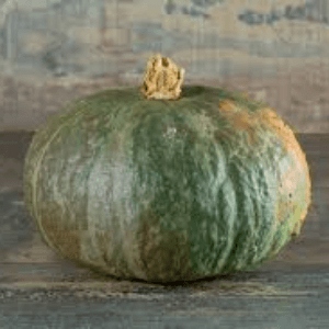 courge potimarron vert