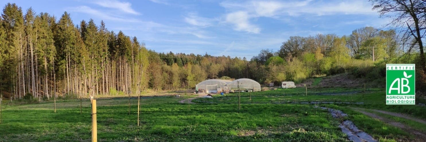 Bannière de L'Orée du bois