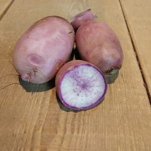 RADIS DELIBLUE