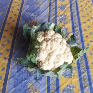 Chou fleur pièce (environ 1.8kg)