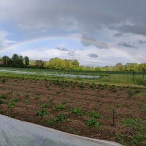 La Ferme des P'tites Planches