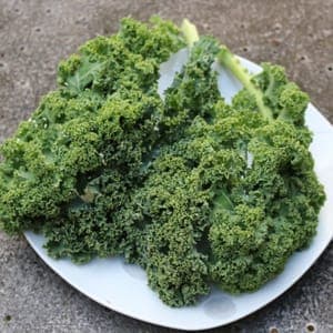chou kale