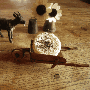 Cerveyrain parfumé sec