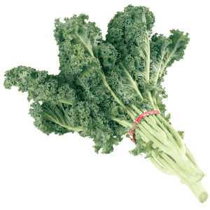 Chou Kale BIO