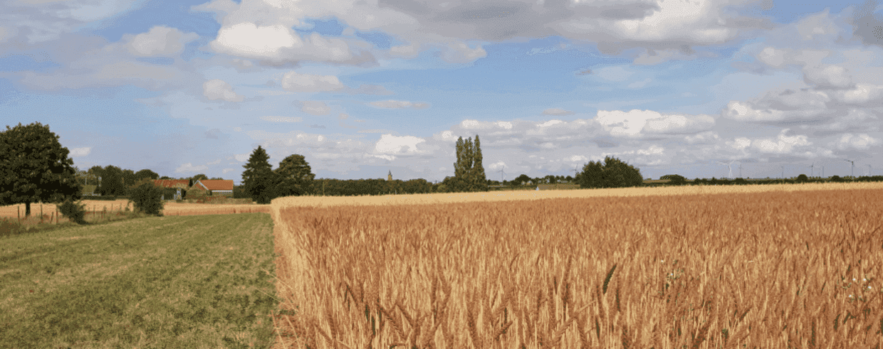 Bannière de La Ferme des Trognes