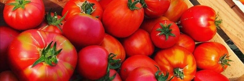 Bannière de Le Jardin du bout du chemin