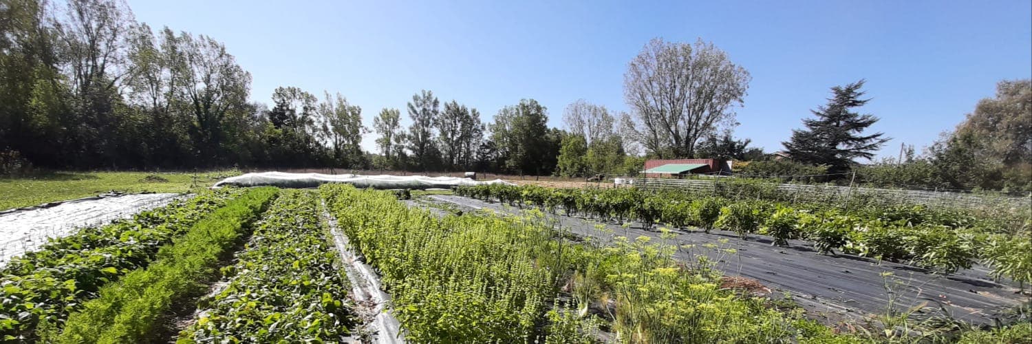 Bannière de LES JARDINS DU FORT