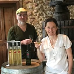 DOMAINE EKOTO #3