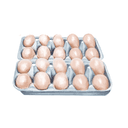 Oeufs Bio - Alvéole