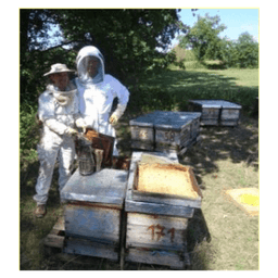 GAEC NOIR D'ABEILLES #3