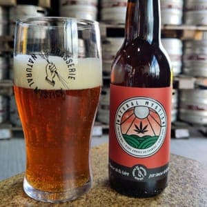 MYSTICK -  ambrée  au chanvre