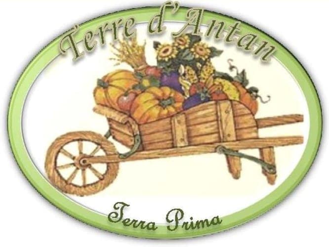 Bannière de Terre D'Antan - Terra Prima