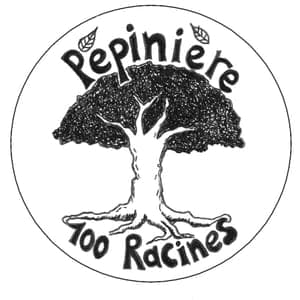 Pépinière 100 racines