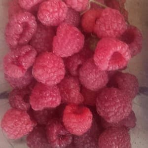 Framboises 
