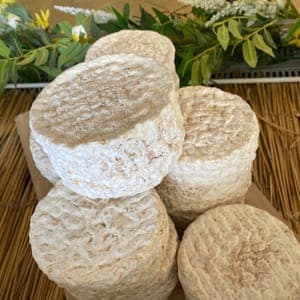 Tomette au lait cru de brebis