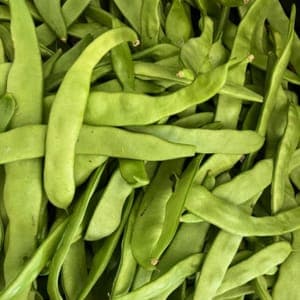 Haricot plat
