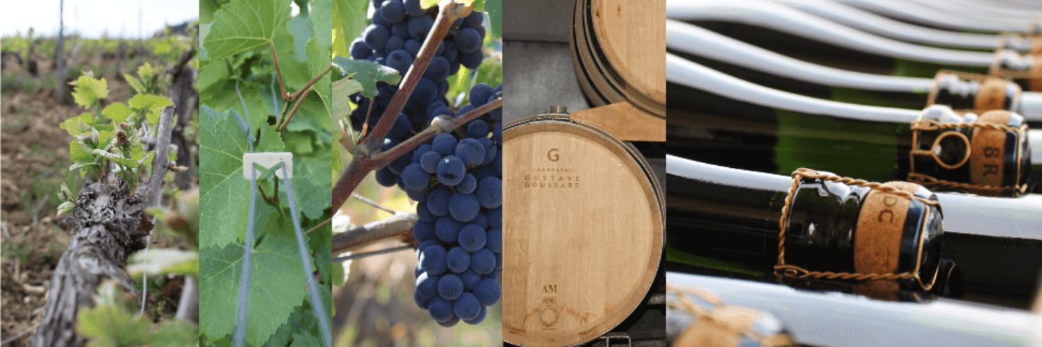 Bannière de ChampagneS GOUSSARD -SARL DU VAL DE SARCE