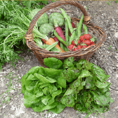 Logo de GA salles sur l'hers