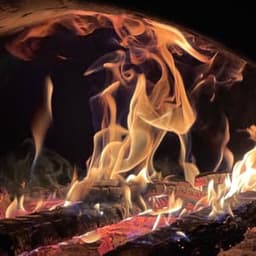 La Ferme de Sabadel #3