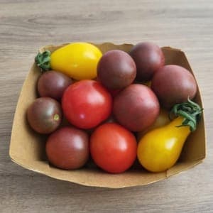 Barquettes de tomates cerises (sarrat)