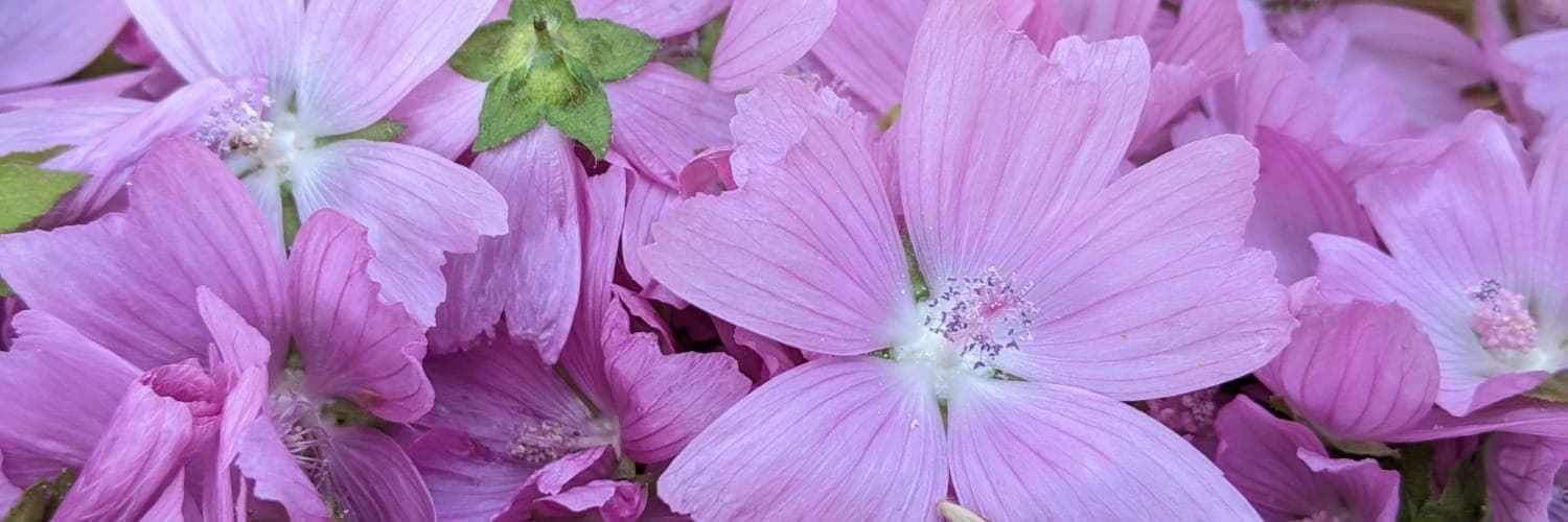 Bannière de Ferme Du Grand Cros