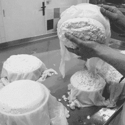 Bergerie La Giuggiola #4