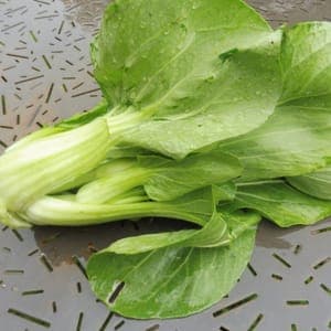 Chou Pak-choï Green