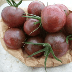 Tomate cocktail