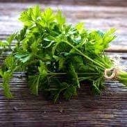 Aromatique : Persil plat en bouquet
