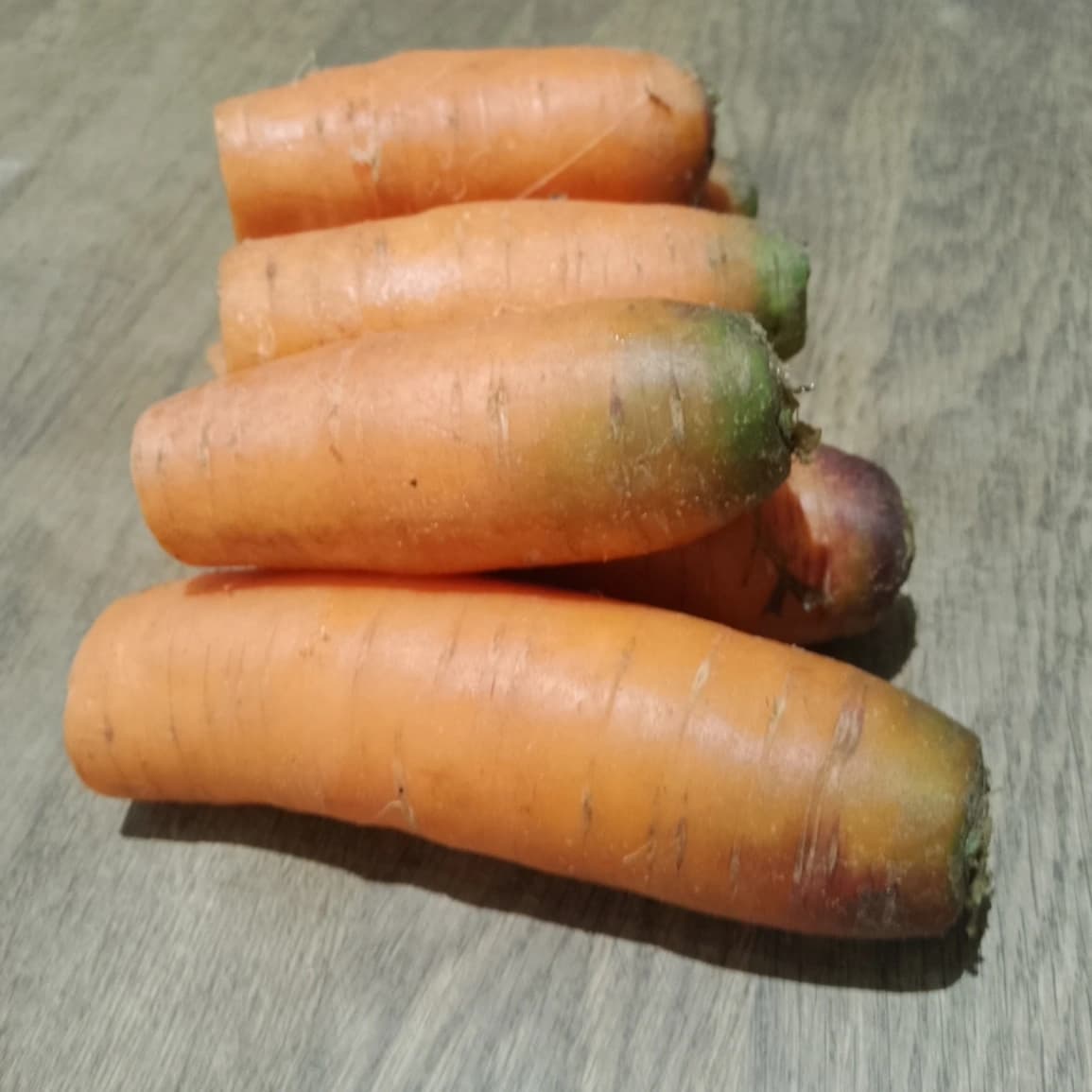 Carottes