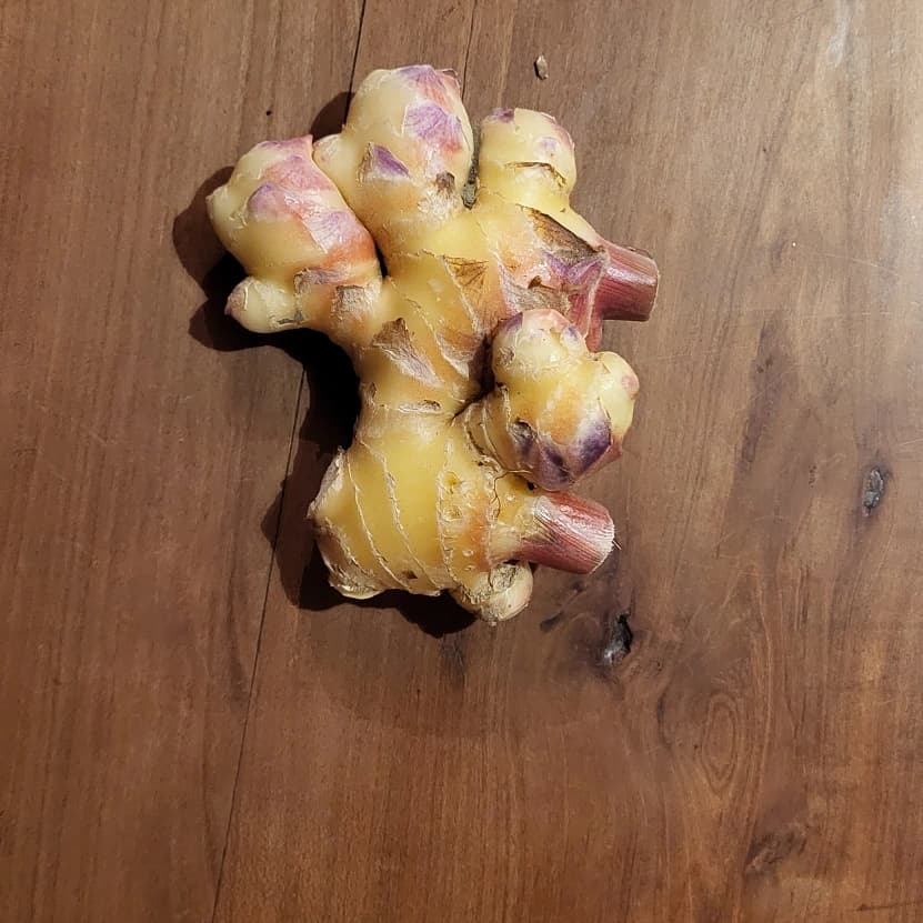 Gingembre frais