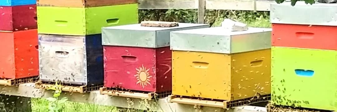 Bannière de Le jardin de Félicien