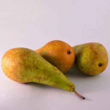 Poire conférence