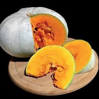 Courge bleue de hongrie