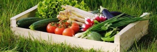 Bannière de La Cagette à Tonton Bubar