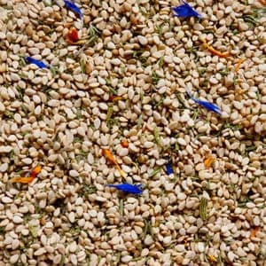 GOMASIO MELODIE DU SUD 