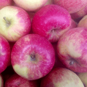 Pomme "Jonagold"