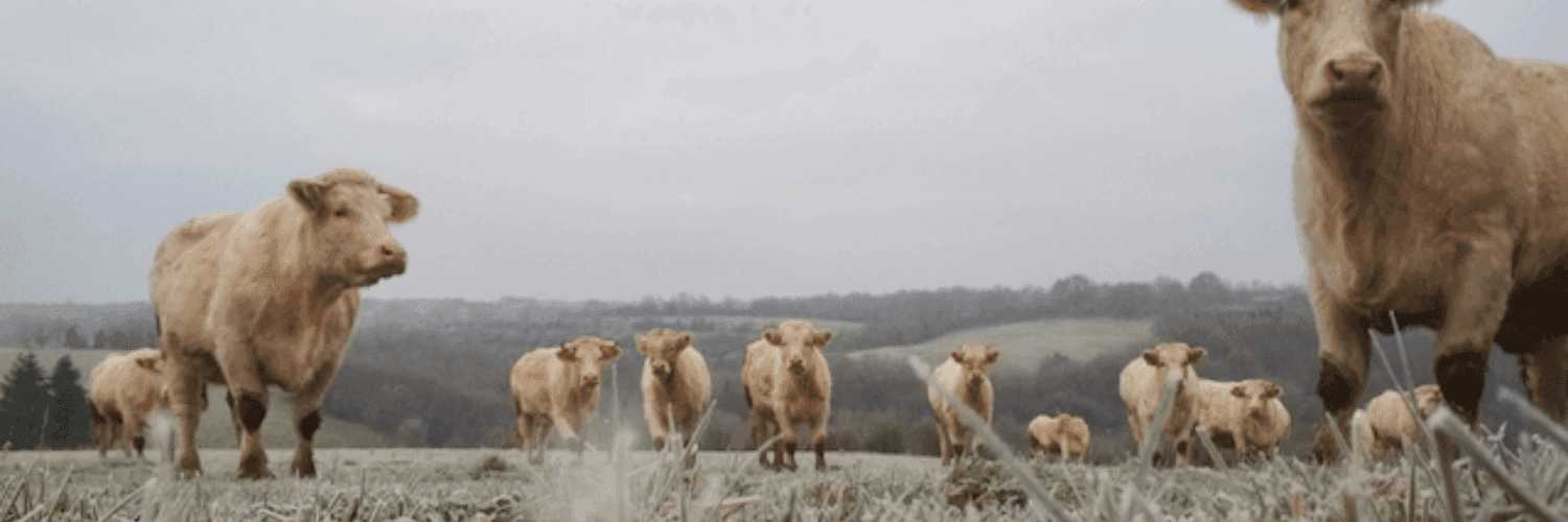 Bannière de GAEC Éleveurs Cueilleurs