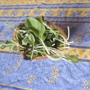 Mesclun asiatique (mélange à manger en salade composé de feuilles de choux chinois, pak choï, mizuna...)