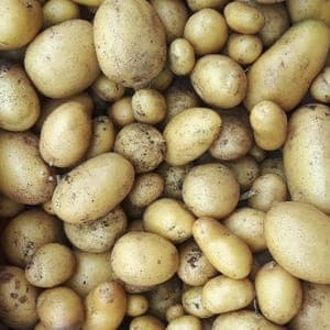 Pommes de Terre Nouvelles