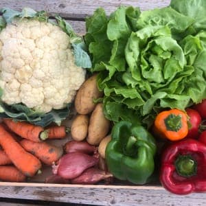 panier surprise 15€