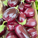 Aubergines Bio