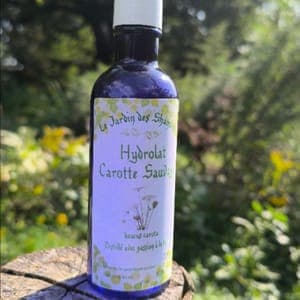 Hydrolat (eau florale) "Carotte sauvage"