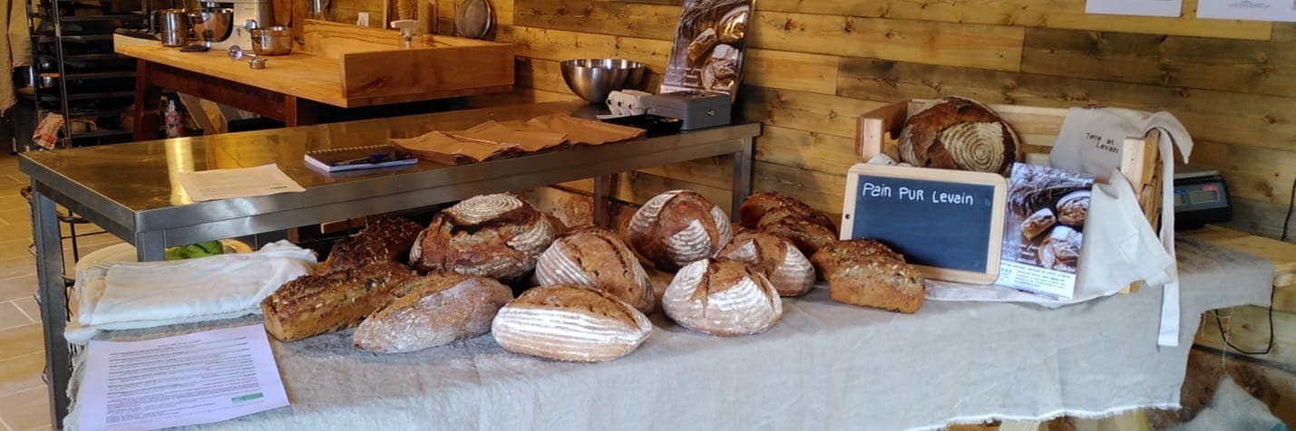 Bannière de Terre et Levain