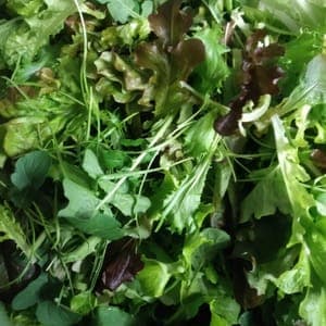 Mesclun