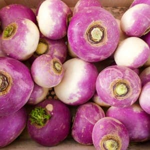 Navets violets