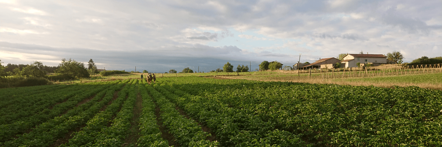 Bannière de La ferme du petit tracteur
