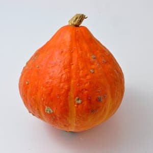 courge