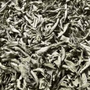 Aromatique VERVEINE TISANE séche